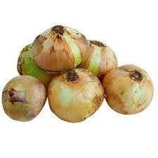 CEBOLLA DULCE