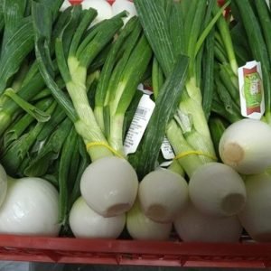 CEBOLLETAS