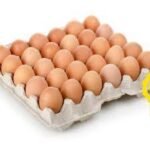 HUEVOS CAMPERO PAZO 1/2 Docena