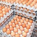 HUEVOS L (naturovo L) 30U