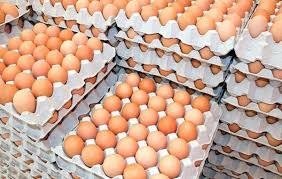 HUEVOS L (naturovo L) 30U