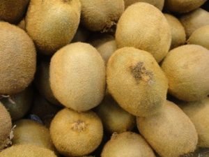 KIWI TEMPORADA