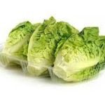 LECHUGA COGOLLOS DE TUDELA 3 P