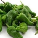 PIMIENTO PADRON GRANDE ó 2a