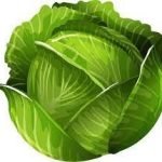 REPOLLO