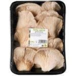 SETA BANDEJA 400 G