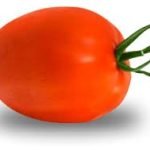 TOMATE PERA 2a